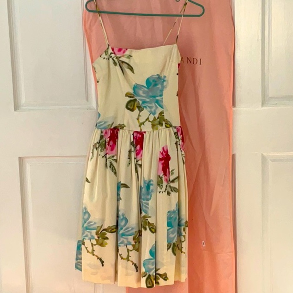 TRACY & MICHAEL Floral Flared Dress SIZE 2